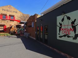 洋風食堂Penguin Cafe（ペンギンカフェ）5