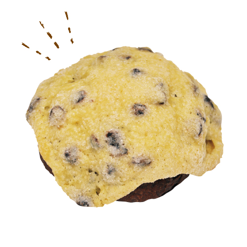 フランス帰りのチョコチップメロンパン