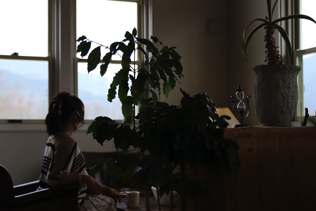 CISCO COFFEE 写真9