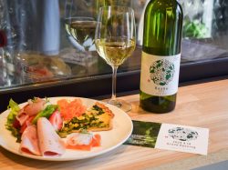 SPRING WINE