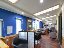 hair salon lea.3