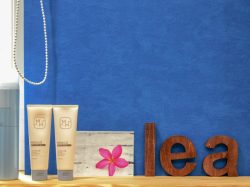 hair salon lea.4