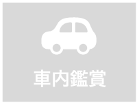 車内鑑賞不可
