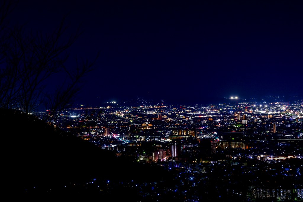 武田の杜付近のみはらし広場 夜景