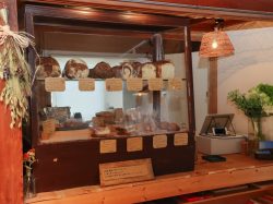 薪釜の新店舗を建設中！「パンとパイ ほそいり」 2026/05/14