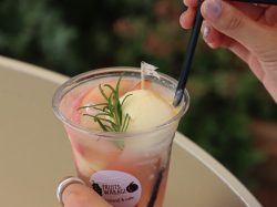 FRUITS WAKAGI fruits stand&café3