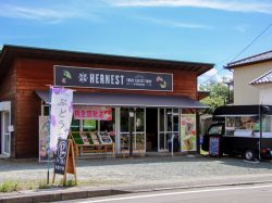 フルーツギフト専門店 HERNEST【移転】