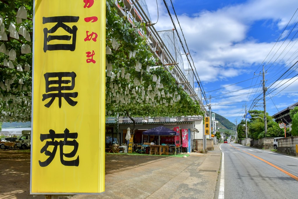 Sop（ソップ）