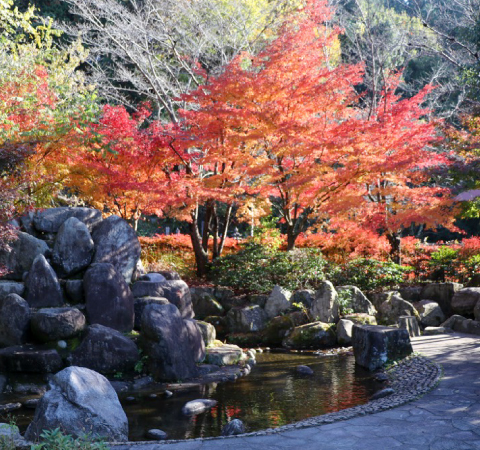 シルクの里公園