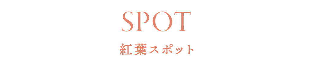 紅葉スポット