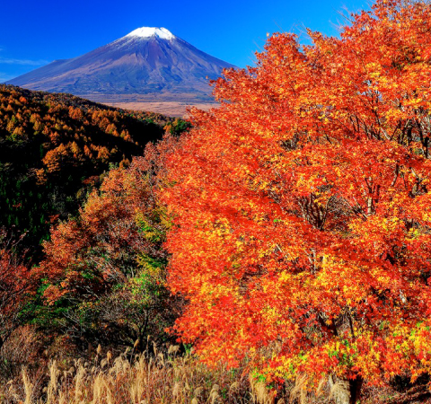 二十曲峠