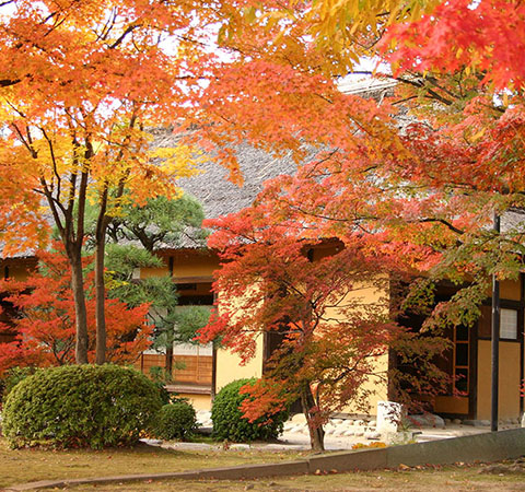 八田家書院