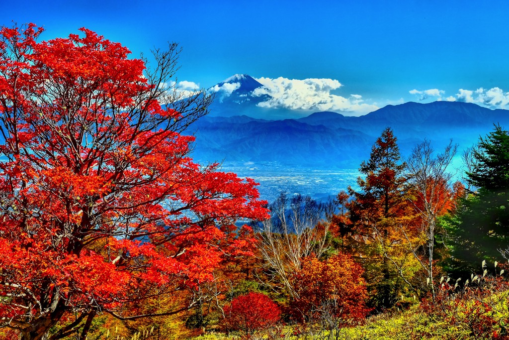 甘利山 写真1
