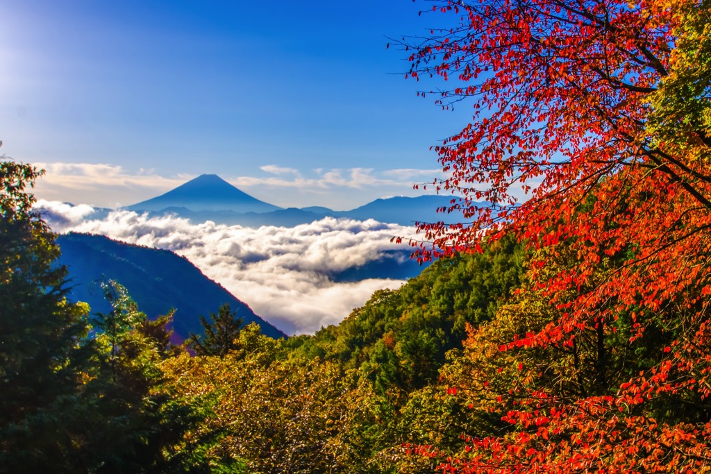 甘利山 写真2