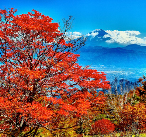 甘利山