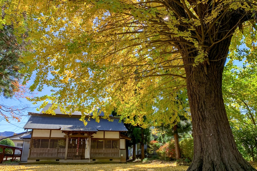 八王子神社 写真1