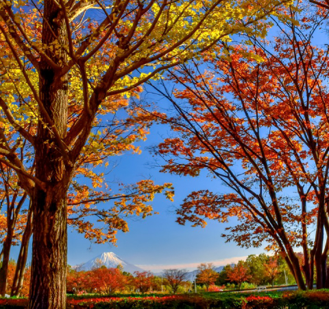 韮崎市中央公園