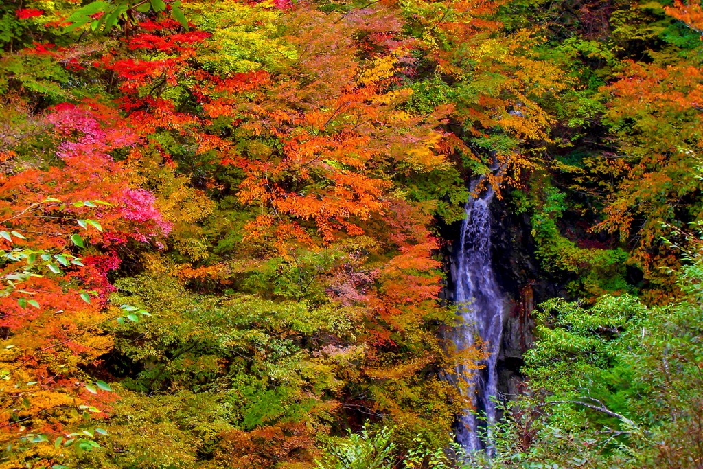 西沢渓谷 写真2
