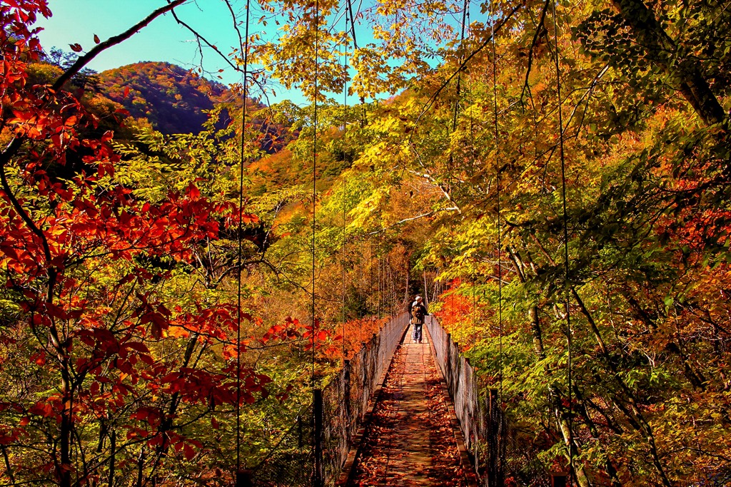 西沢渓谷 写真3