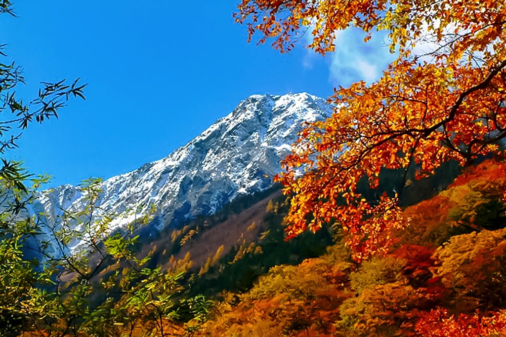 夜叉神峠 写真1