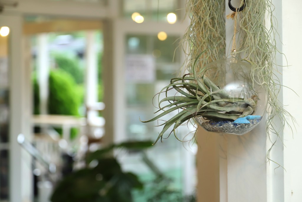 LA² CAFÉ Yamanakako 写真14