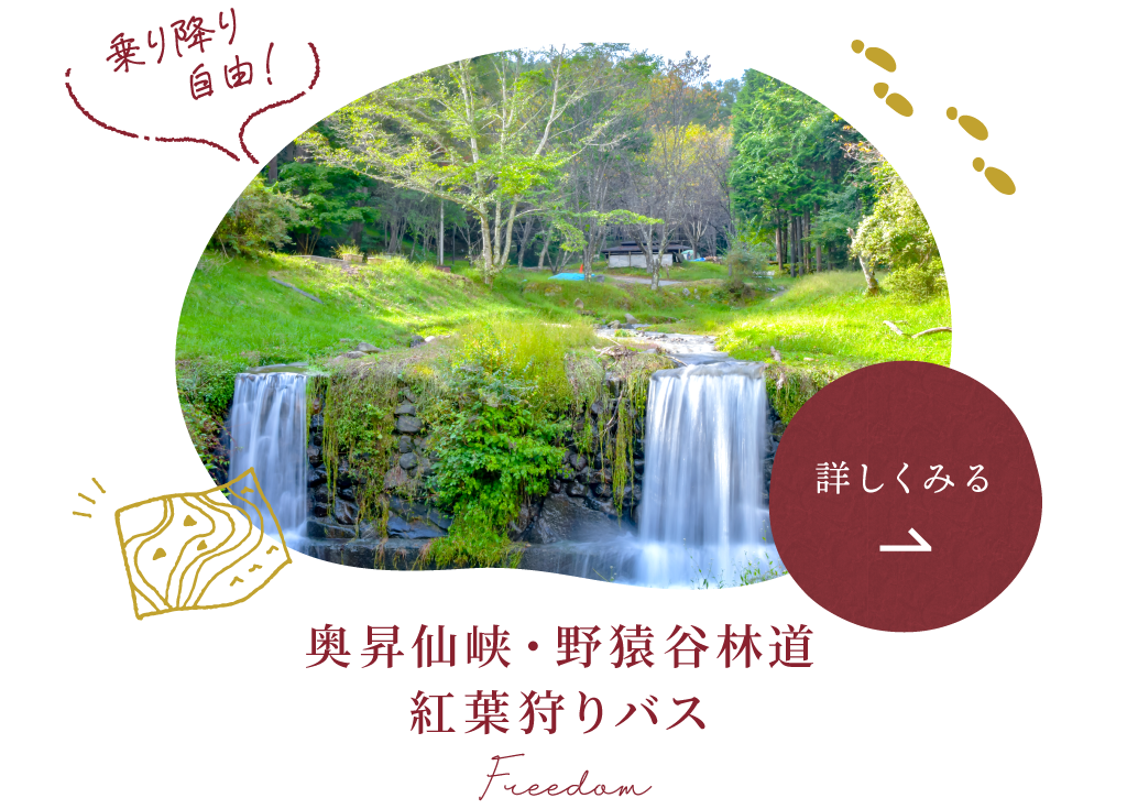 奥昇仙峡・野猿谷林道紅葉狩りバス