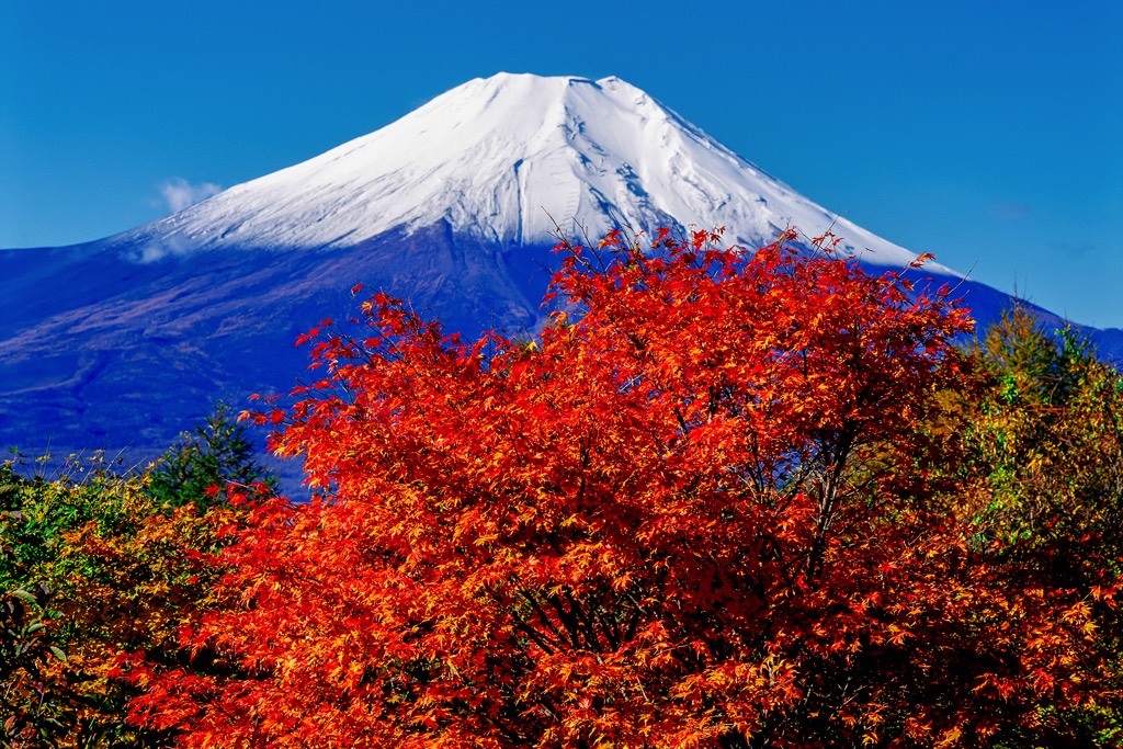 二十曲峠 写真2