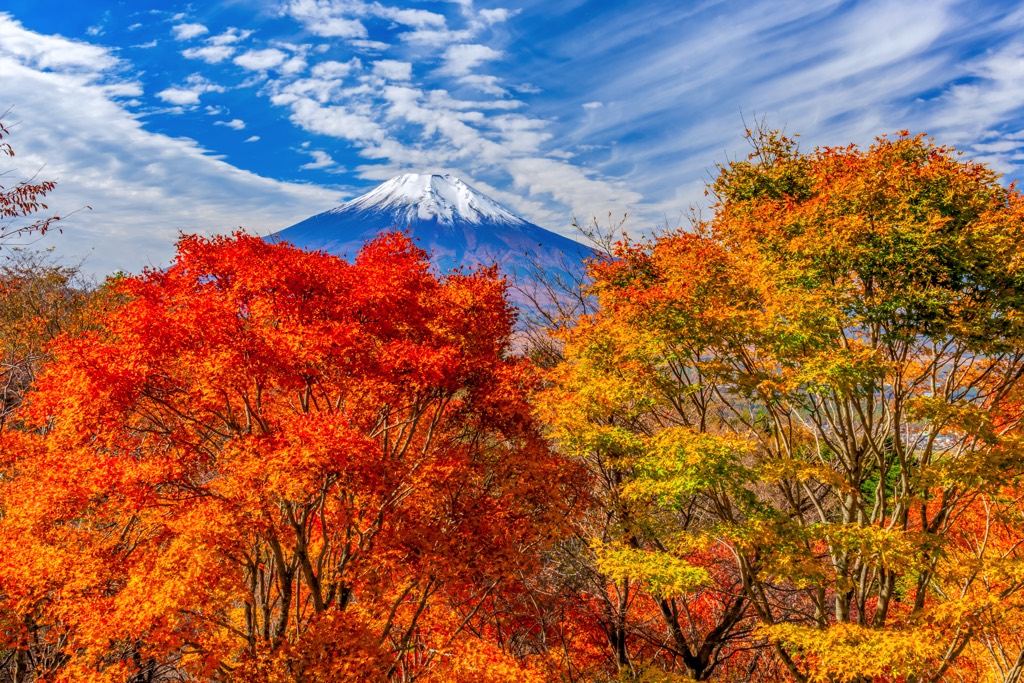 二十曲峠 写真3