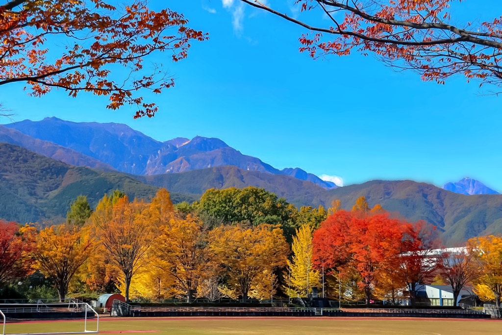 韮崎市中央公園 写真3