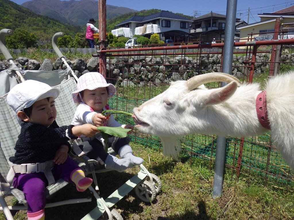たんぽぽ子どもの家