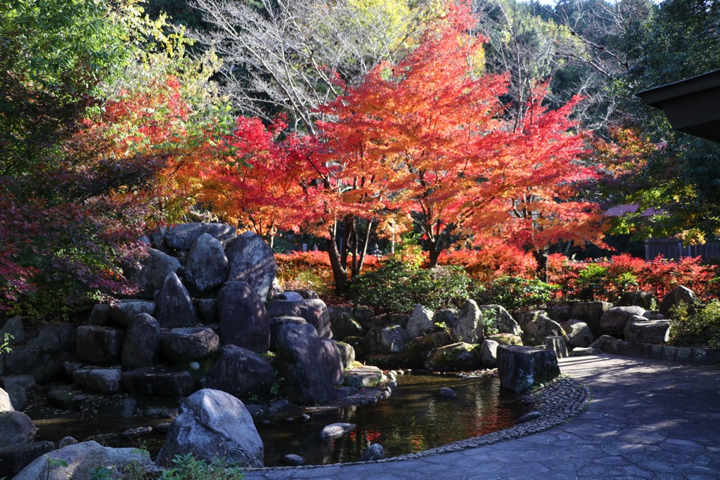 シルクの里公園 写真1