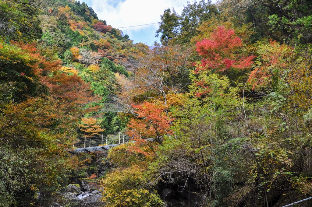 大柳川渓谷 写真3