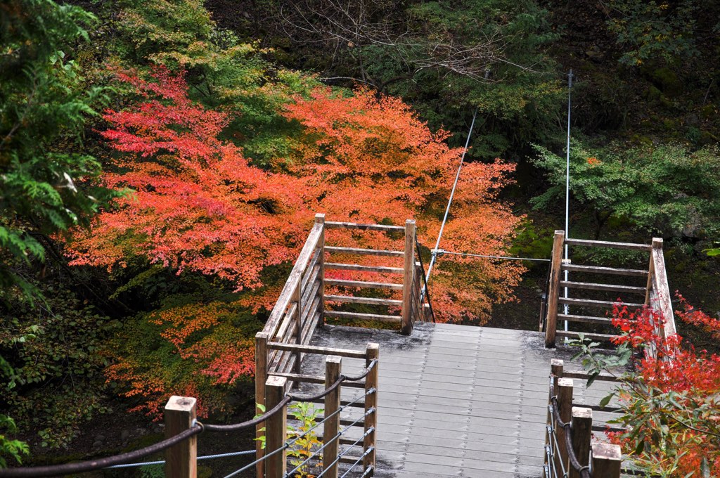 大柳川渓谷 写真4