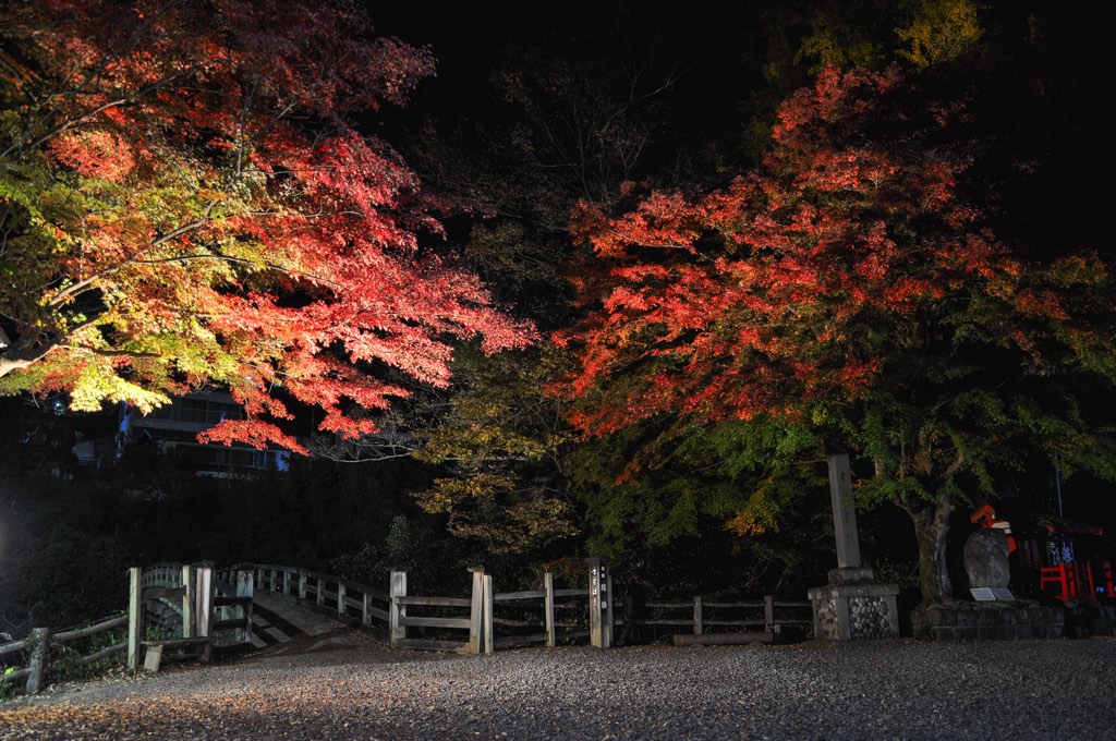猿橋 写真4