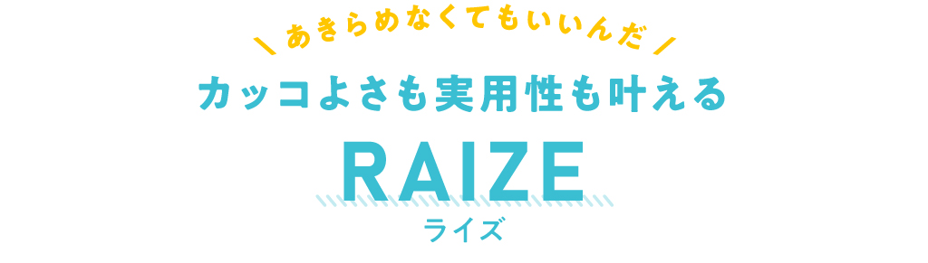 カッコよさも実用性も叶える RAIZE