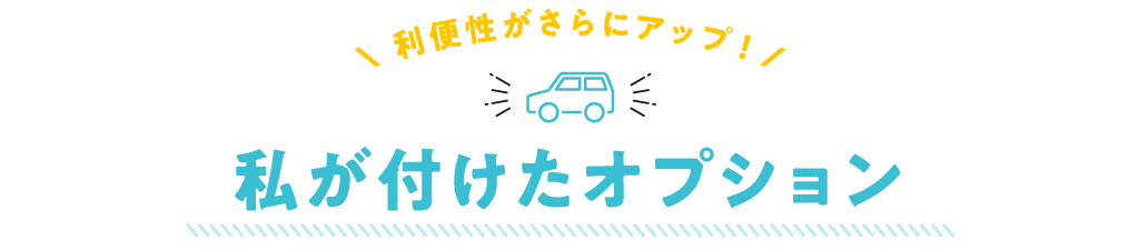 私が付けたオプション