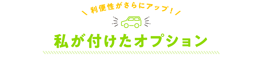 私が付けたオプション