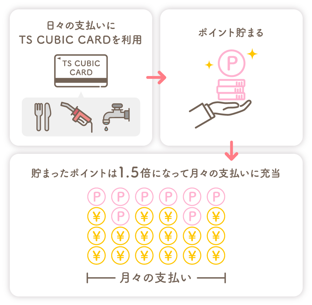 TS CUBIC CARD