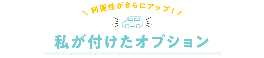 私が付けたオプション