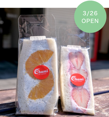 CHAMI SANDWICH
