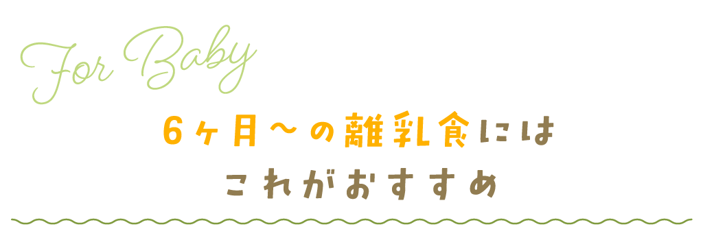 6ヶ月〜の離乳食にはこれがおすすめ