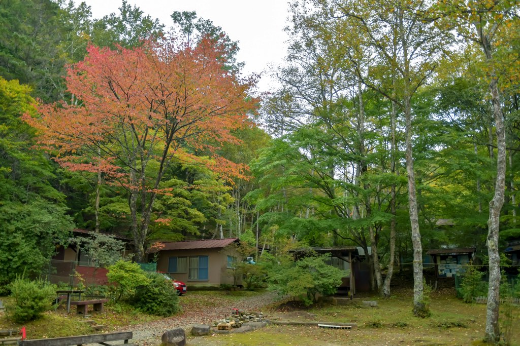 笛吹小屋キャンプ場 キャンプ場の写真 3