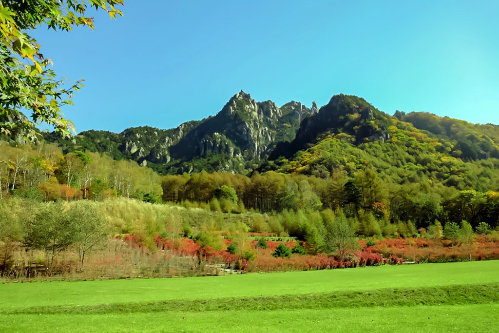 みずがき山自然公園 キャンプ場の写真 5