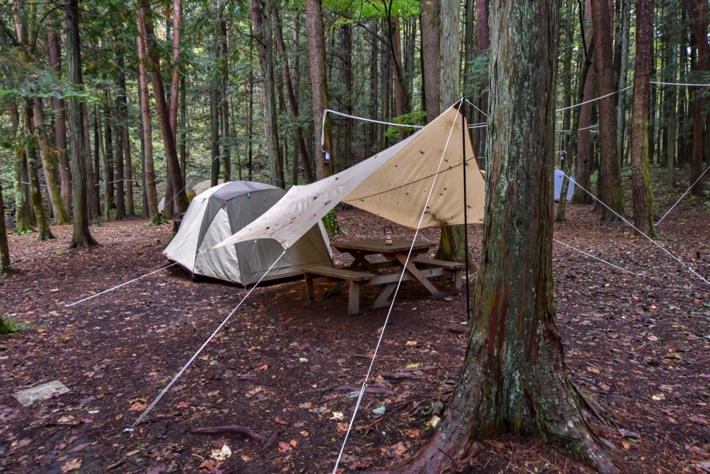 森と湖の楽園 WorkShopCampResort キャンプ場の写真 2
