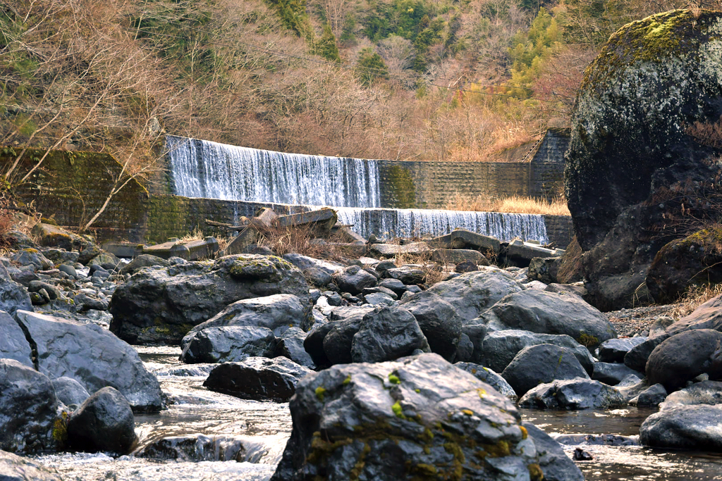 大柳川渓流公園 キャンプ場の写真 12