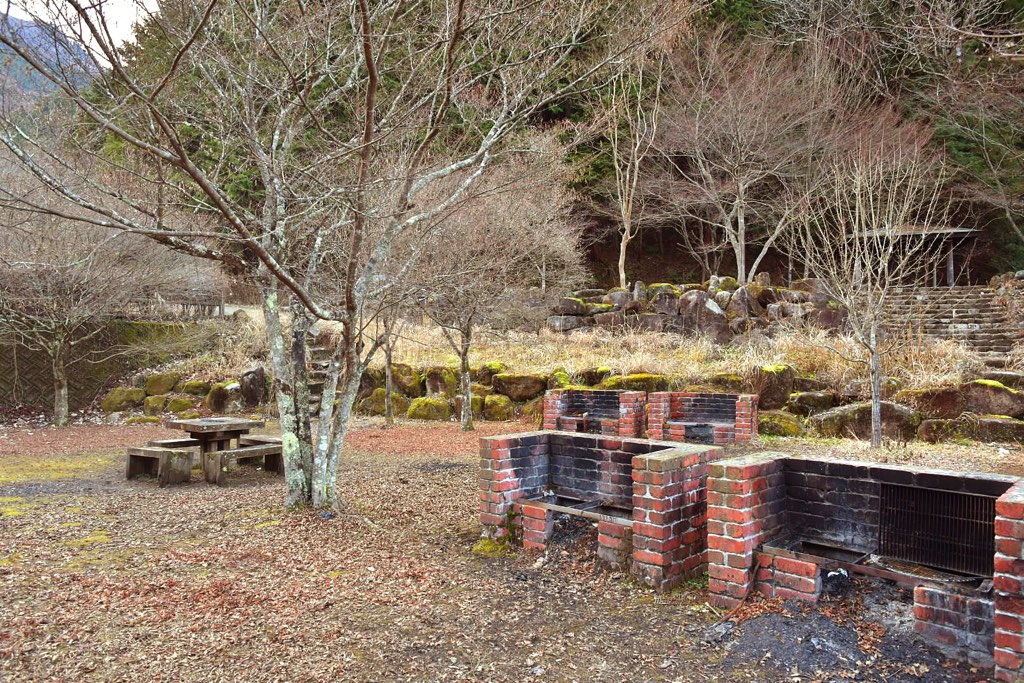 大柳川渓流公園 キャンプ場の写真 2