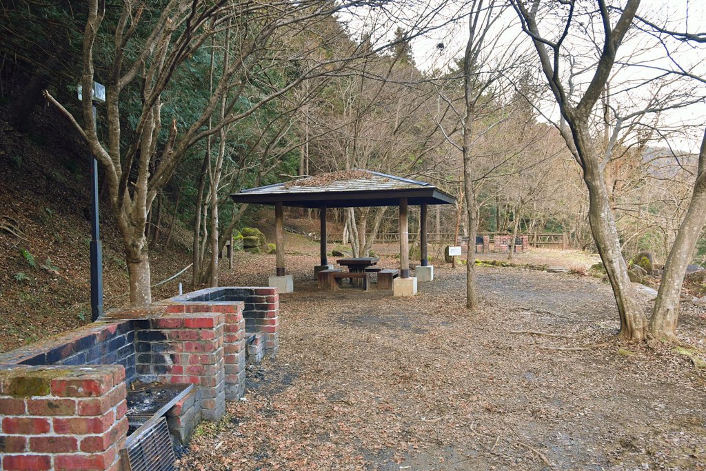 大柳川渓流公園 キャンプ場の写真 3