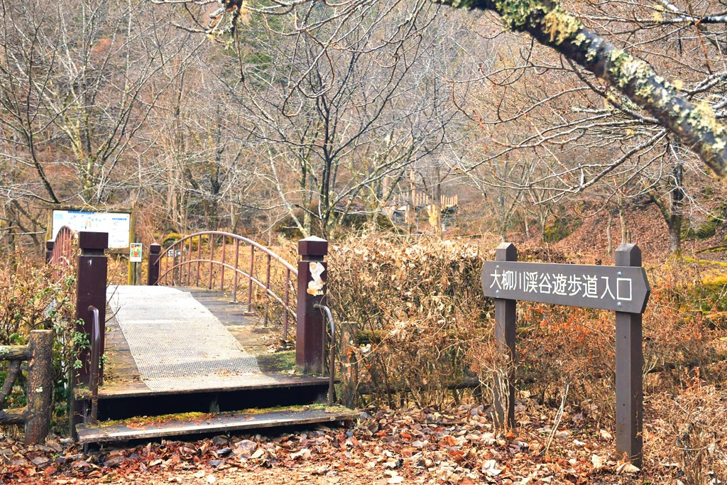 大柳川渓流公園 キャンプ場の写真 7
