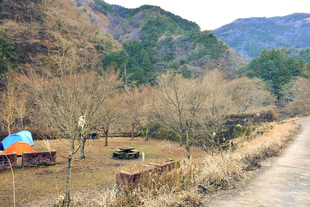 大柳川渓流 キャンプ場