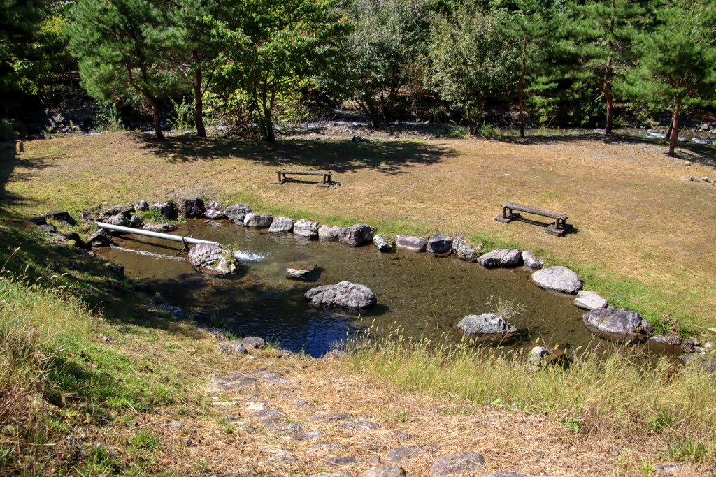 寺川グリーン公園 キャンプ場の写真 1
